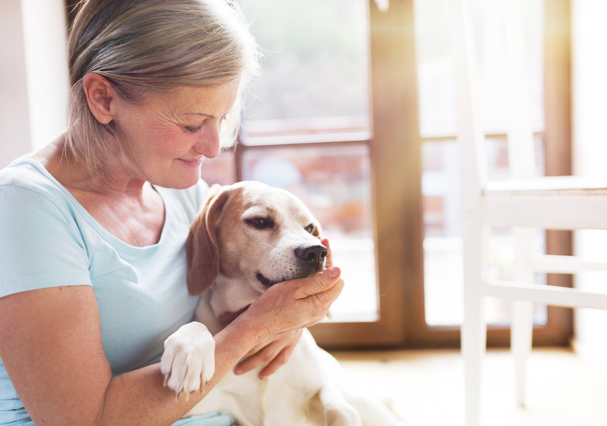 The Pros and Cons of Allowing Pets in Your Rental Property